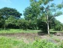 ขายที่ดิน - ขายที่ดินเปล่า พิจิตรริชเชอร์ฟาร์ม 1 ไร่ 20 ตารางวา โครงการติดถนนใหญ่ ที่มีลงกล้วย มะม่วง ไว้