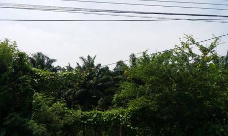 ขายที่ดิน - ขาย ที่ดิน โพธาราม ราชบุรี พร้อมสวนปาล์ม 18-3-6 ไร่ ติดทางหลวงเทศบาล ใกล้ ณ สัทธา อุทยานไทย