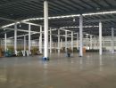 ให้เช่าโรงงาน / โกดัง - อาคารโรงงาน โกดัง คลังสินค้าเขตฟรีโซน ขนาด8000 ตารางเมตร ในนิมแหลมฉบัง
