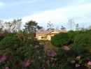 ขายที่ดิน - ขายที่ดิน เพชรบูรณ์ บรรยากาศ บ้านสวนกับพื้นที่ 1 ไร่ สร้างบ้านสวยสไตล์รีสอร์ท