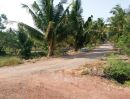 ขายที่ดิน - ที่ดิน 3ไร่ 3งานมะพร้าวน้ำหอมทั้งสวน อายุ 2ปีเศษใกล้ให้ผลผลิต #ติดถนนเล็ก-ถนนหลักมีรถเมล์ใกล้ 1กม.มีระบบก็อกให้น้ำมะพร้าว ชุมชนลาดใหญ่