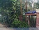 ขายที่ดิน - เสนอขายสวนยางพารา แซมมังคุด พร้อมบ้านสวย 1 หลัง ที่ติดถนนคอนกรีต เนื้อที่ 7 ไร่กว่าๆ พิกัดมาบโอน อำเภอท่าใหม่ จันทบุรี
