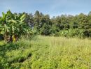 ขายที่ดิน - ที่ดินสวนกล้วย สวนลำไย , วิวดอย, ที่ดินโฉนด, เชียงใหม่ ที่ดินใกล้ชุมชน เหมาะทำบ้านสวน บ้านพักต่างอากาศ เนื้อที่ 1 ไร่ 1 งาน 33 ตาราง