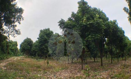 ขายที่ดิน - ขายสวนผลไม้ผสม 14 ไร่ ตำบลแสลง เมืองจันทบุรี อยู่ไกลจากถนนสุขุมวิทเพียง 400 เมตร ใกล้ อบจ. จันทบุรี ติดต่อ ภณ  Line thanaphon59
