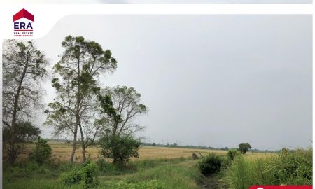 ขายที่ดิน - ที่ดินเปล่า ซ.วัดสุขใจ 15 ถ.นิมิตใหม่ มีนบุรี 146 ตร.ว เหมาะทำสวนเกษตร บ้าน โกดัง ขายถูก