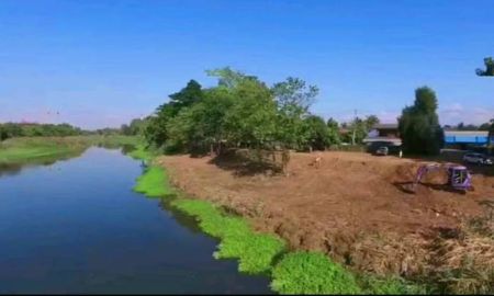 ขายที่ดิน - ขายที่ดินดอนแก้วสารภีติดแม่น้ำปิงใกล้เมืองโฉนดพร้อมโอนราคาถูก