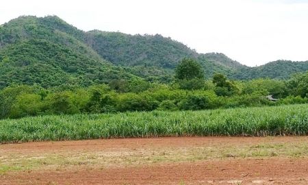 ขายที่ดิน - ขายที่ดินติดถนนคอนกรีต ด่านมะขามเตี้ย กาญจนบุรี 97 ไร่ ติดภูเขา เหมาะทำการเกษตร หรือซื้อเก็บไว้ได้