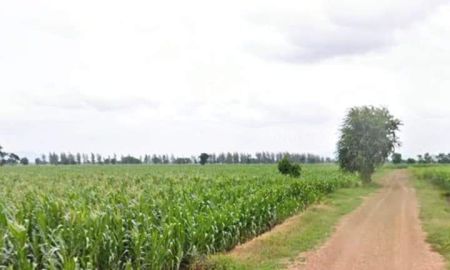 ขายที่ดิน - ที่ดินเปล่า สำหรับทำเกษตรหรืออยู่อาศัย โฉนด 34 ไร่ ขายถูก อ.โคกสำโรง ลพบุรี