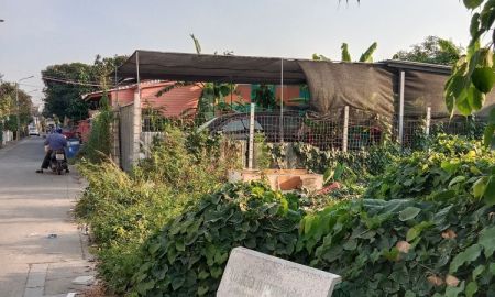 ขายที่ดิน - ที่ดิน 61ตารางวา ปลูกบ้าน แหล่งค้าขาย บางศรีเมือง นนทบุรี