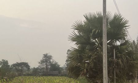 ขายที่ดิน - ที่ดินสวนเกษาตร ติดถนนคอนกกรีต หนองหญ้าปล้อง เพชรบุรี